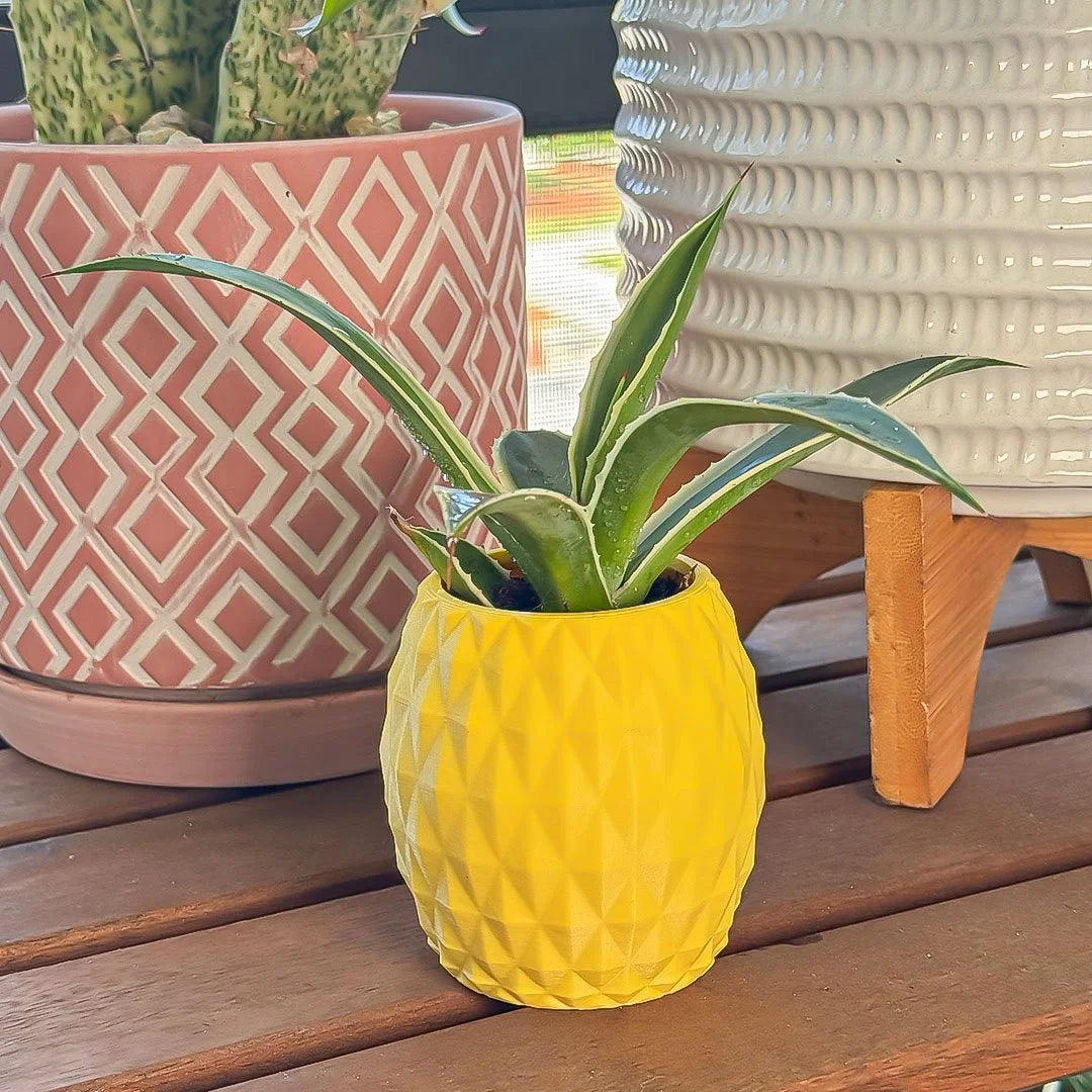 Pineapple Minimalist Planter