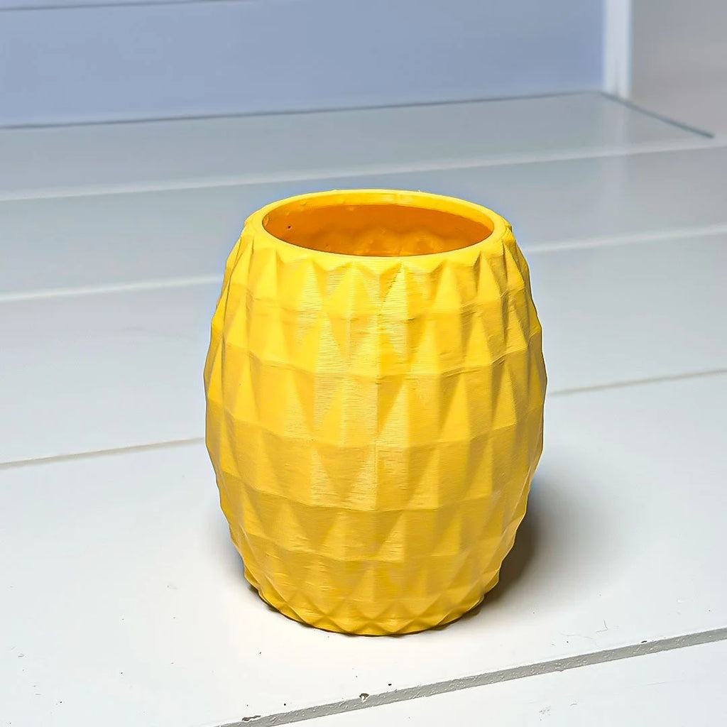 Pineapple Minimalist Planter