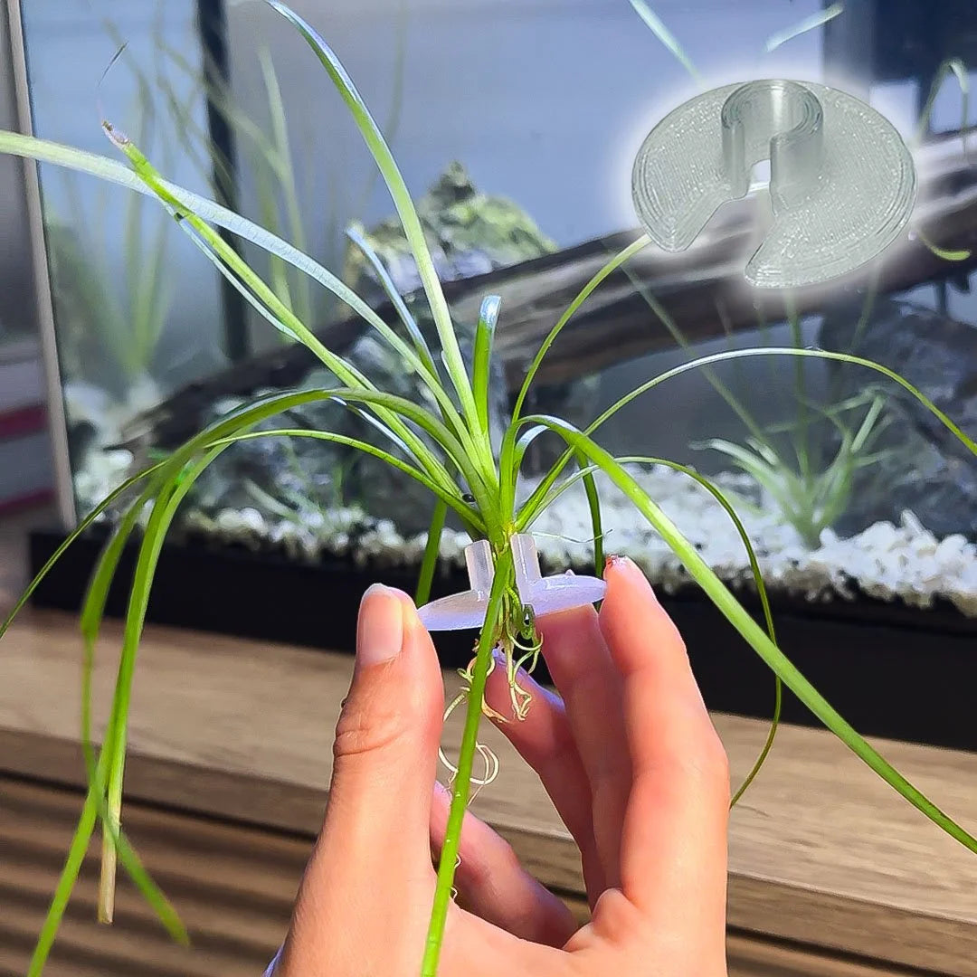 3ct Substrate Buddies - Aquatic Plant Plugs