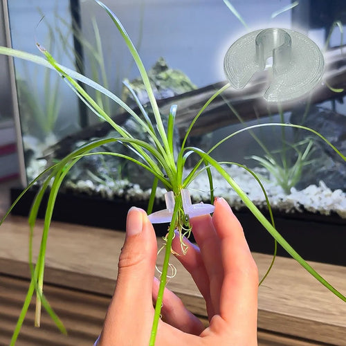 3ct Substrate Buddies - Aquatic Plant Plugs