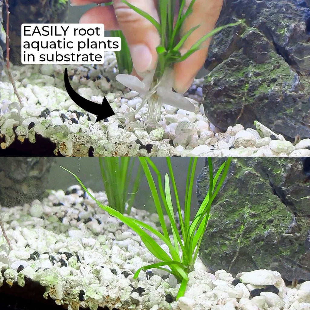 3ct Substrate Buddies - Aquatic Plant Plugs
