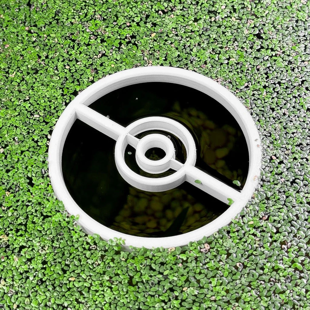 Catch Them All Pokeportal Fish Feeding Portal