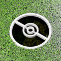 Catch Them All Pokeportal Fish Feeding Portal