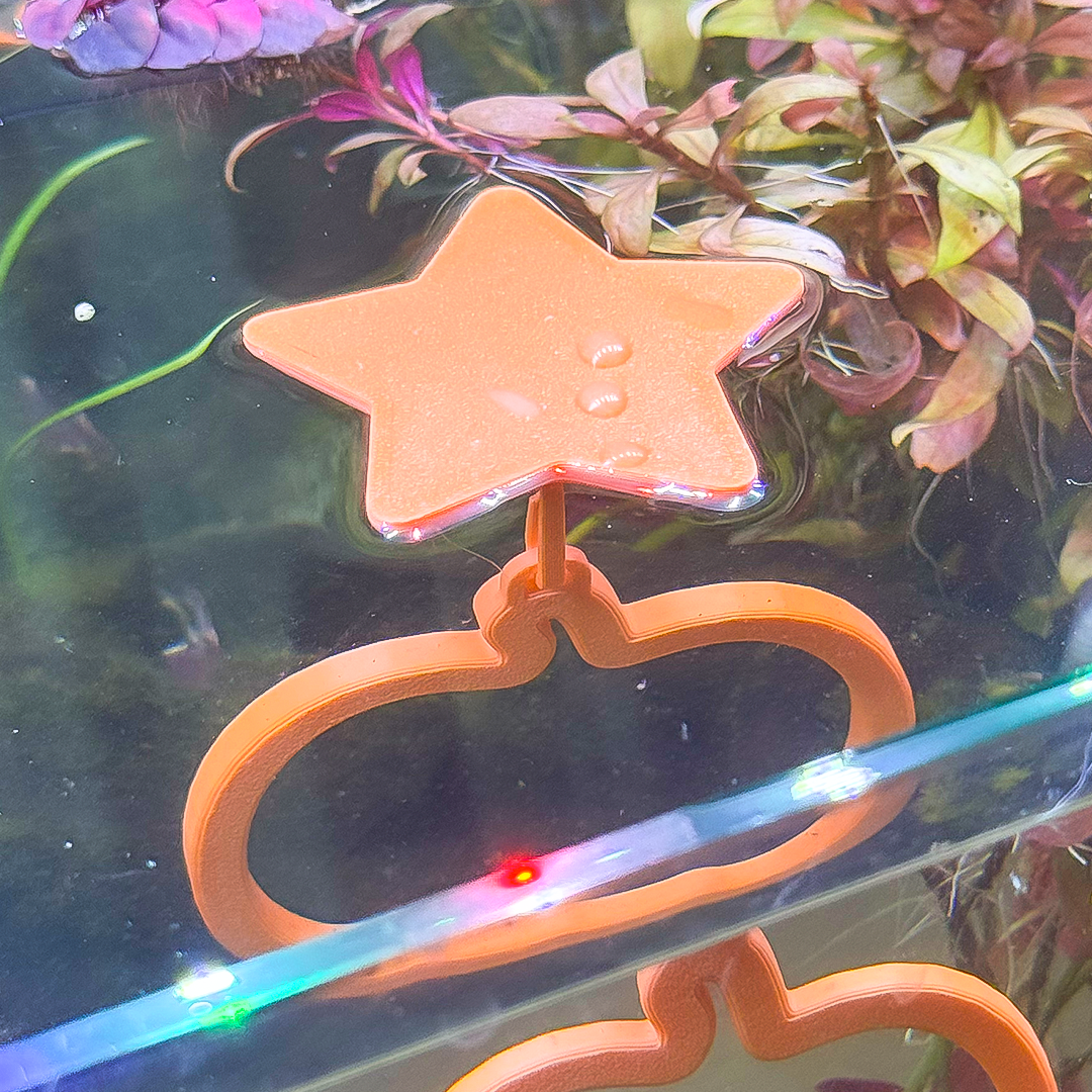 Floating Pumpkin Betta Swim Ring