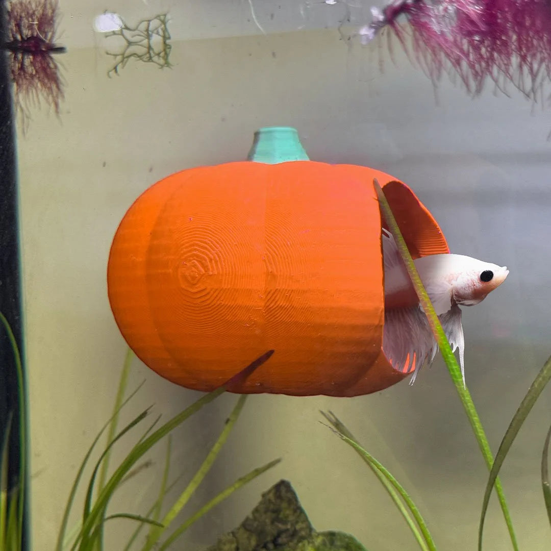 Pumpkin Gourd Betta Hide