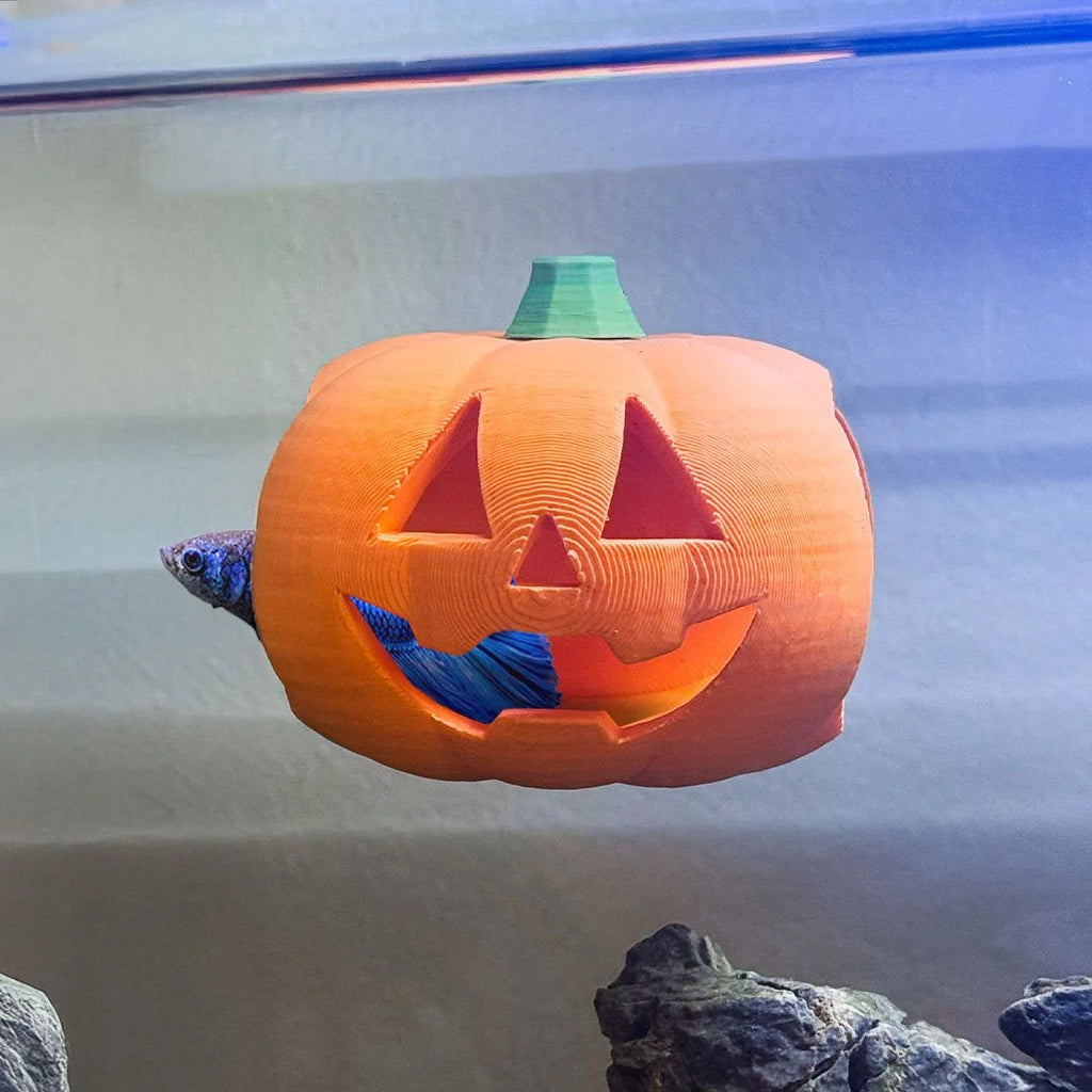 Jack-O-Lantern Betta Hide