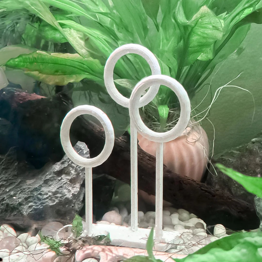Quidball Goal Hoops for Fish