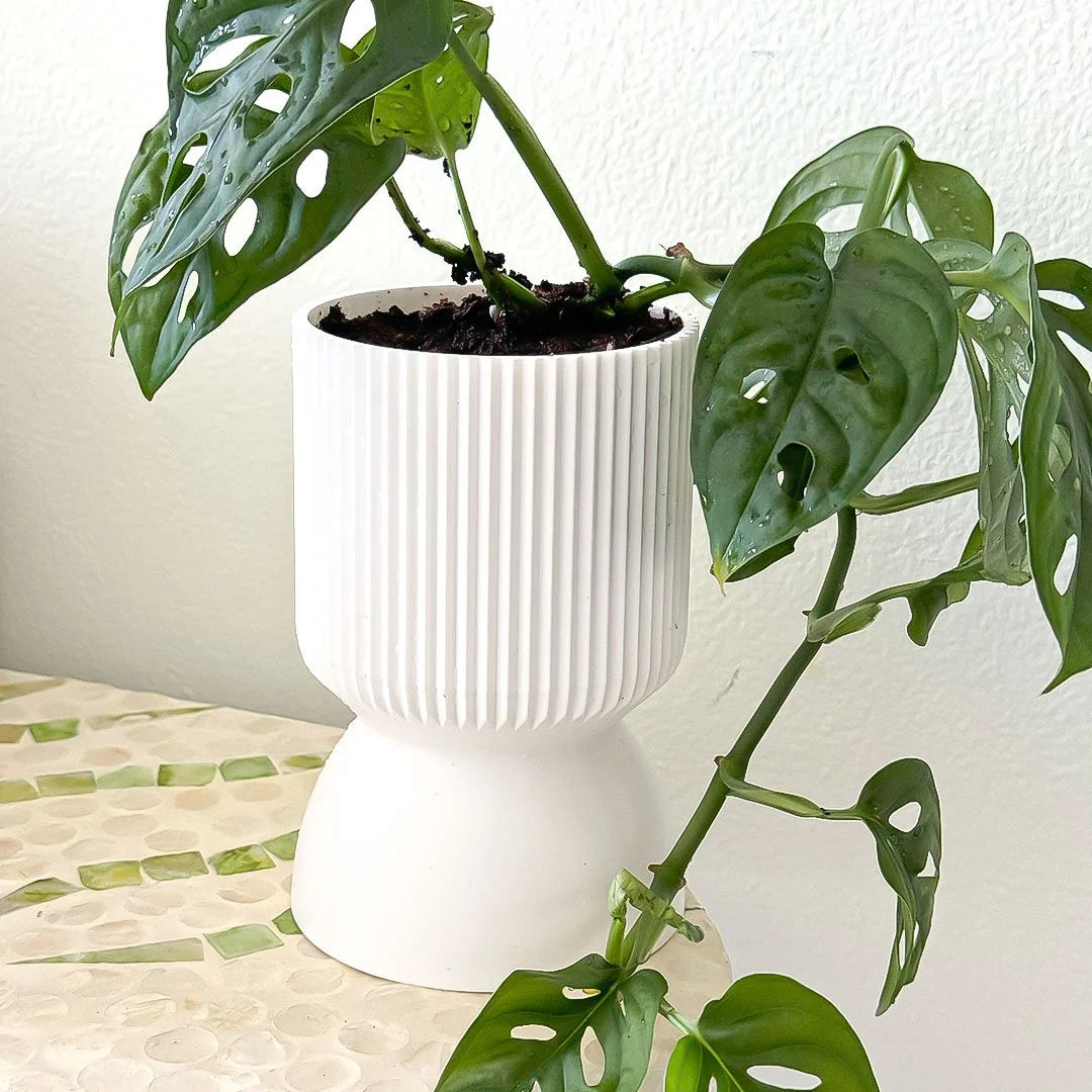 Ribbed Aesthetic Minimalist Planter