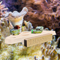 Rock Slab Magnetic Frag Rack