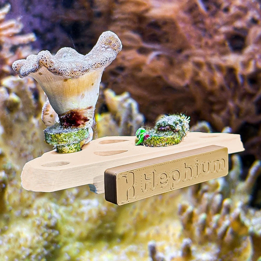 Rock Slab Magnetic Frag Rack