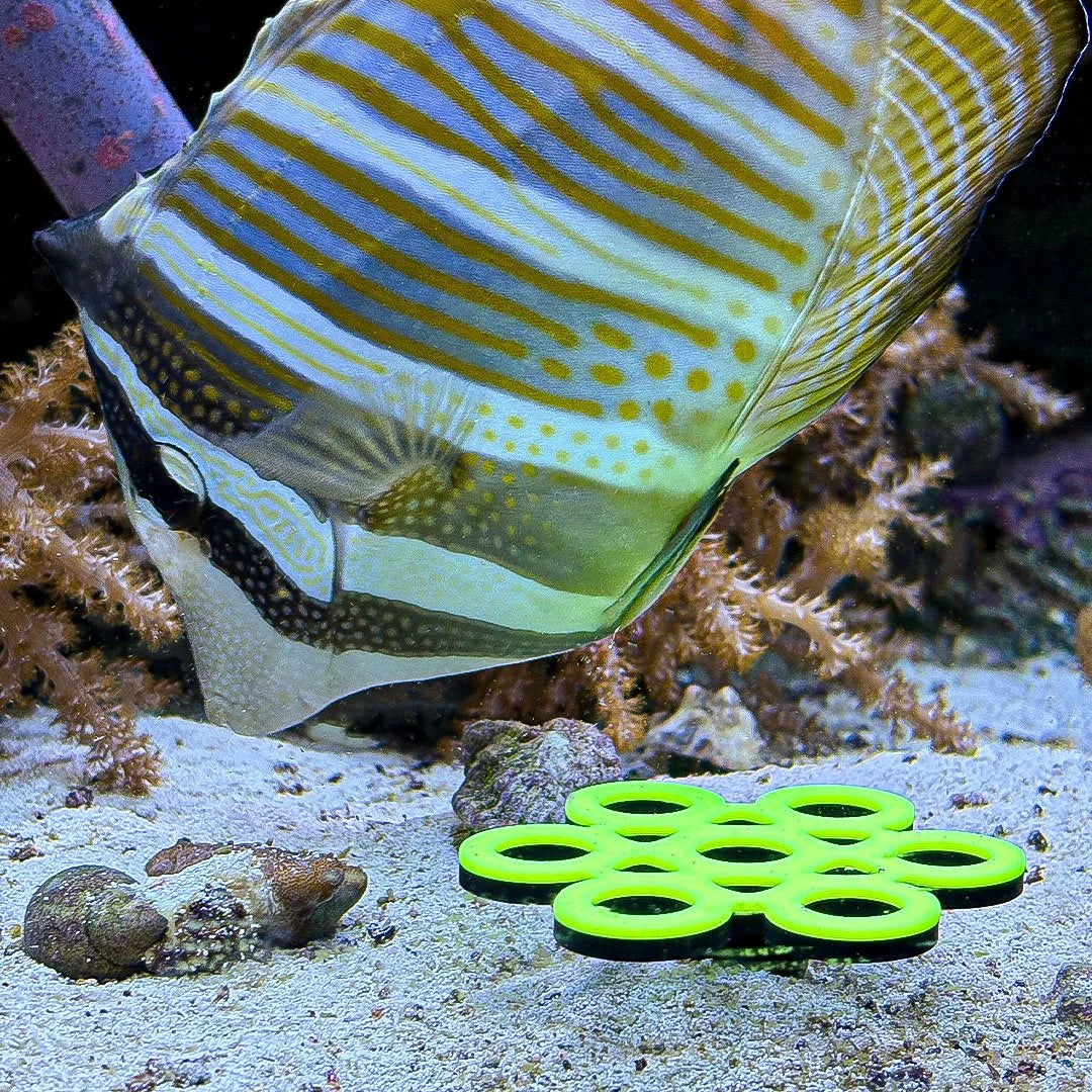 Sand GlowRack - UV Frag Propagation Rack