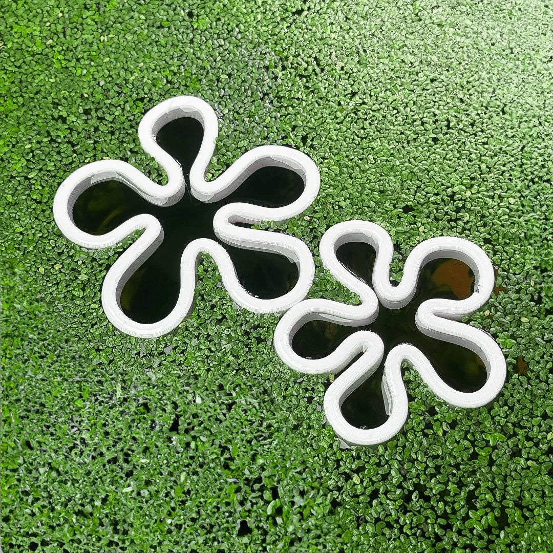 Sponge Friends Flowers / Bubbles Fish Feeding Portal