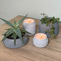 Minimalist Ribbed Shallow Wide Planter