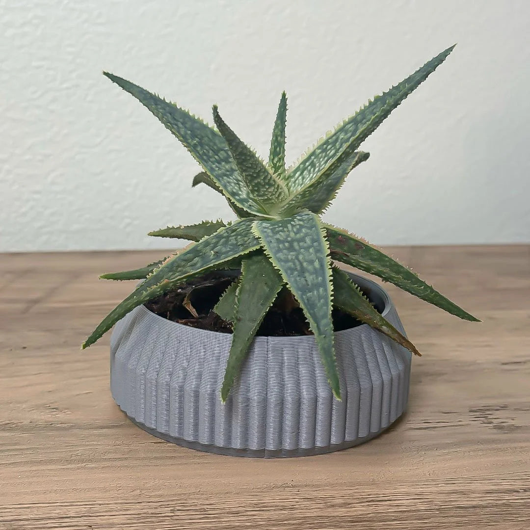 Minimalist Ribbed Shallow Wide Planter
