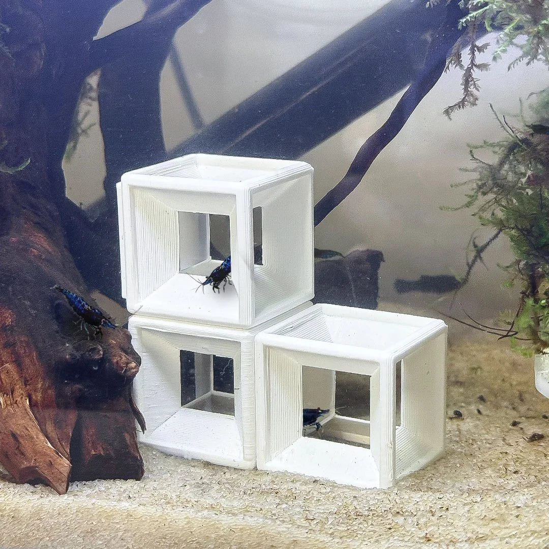 3ct Modular Shrimp Cubes