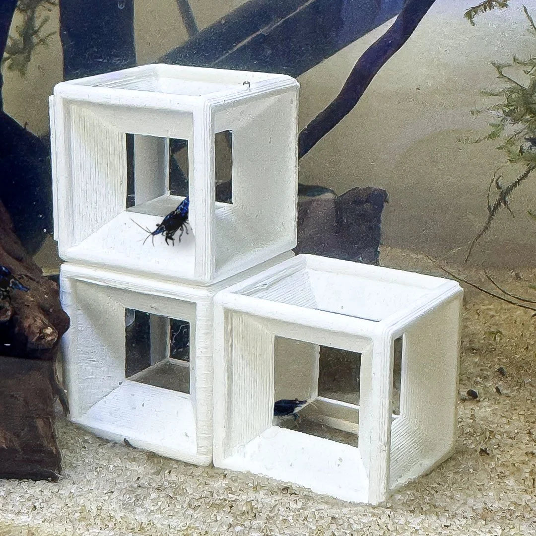 3ct Modular Shrimp Cubes