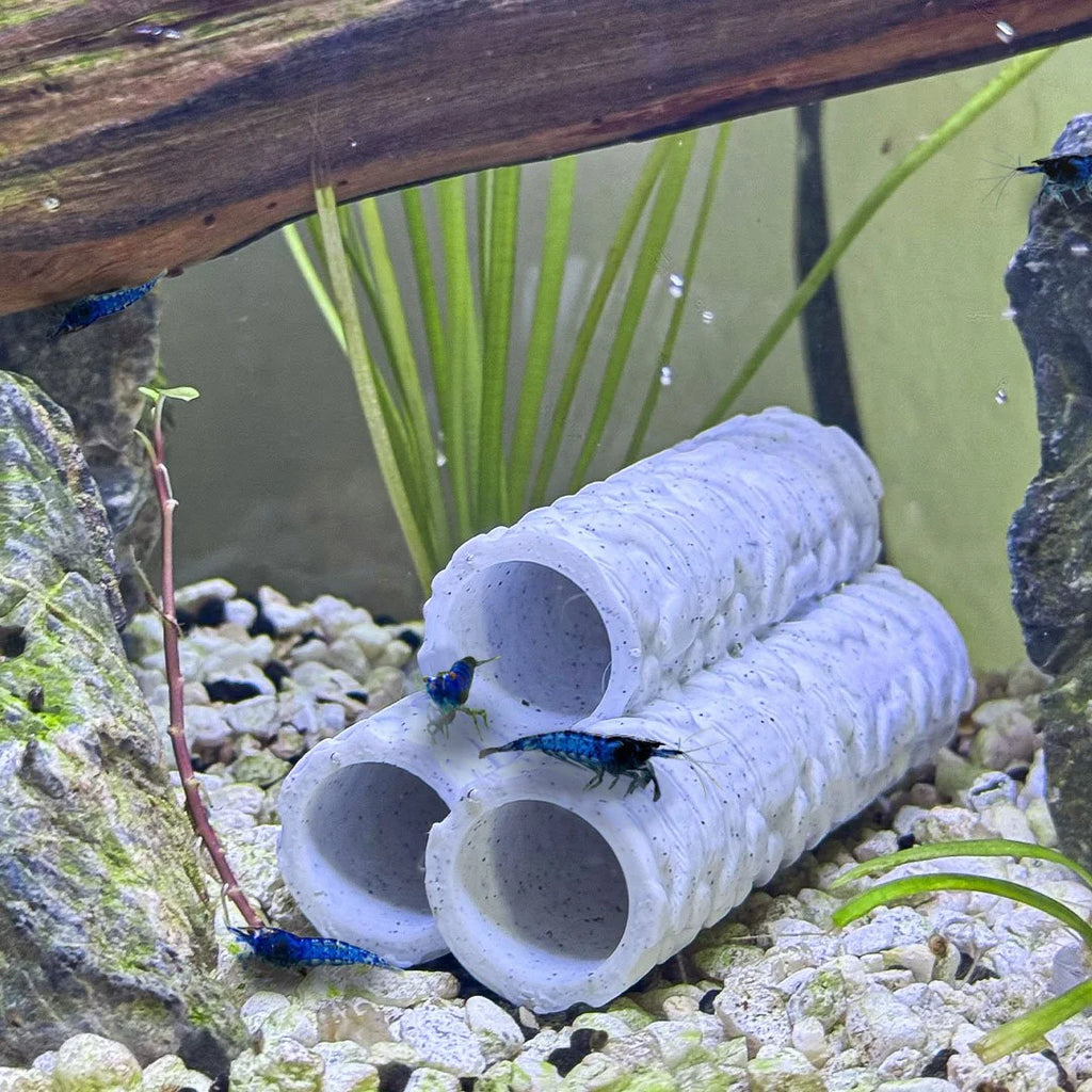 Natural Shrimp Tube Hides