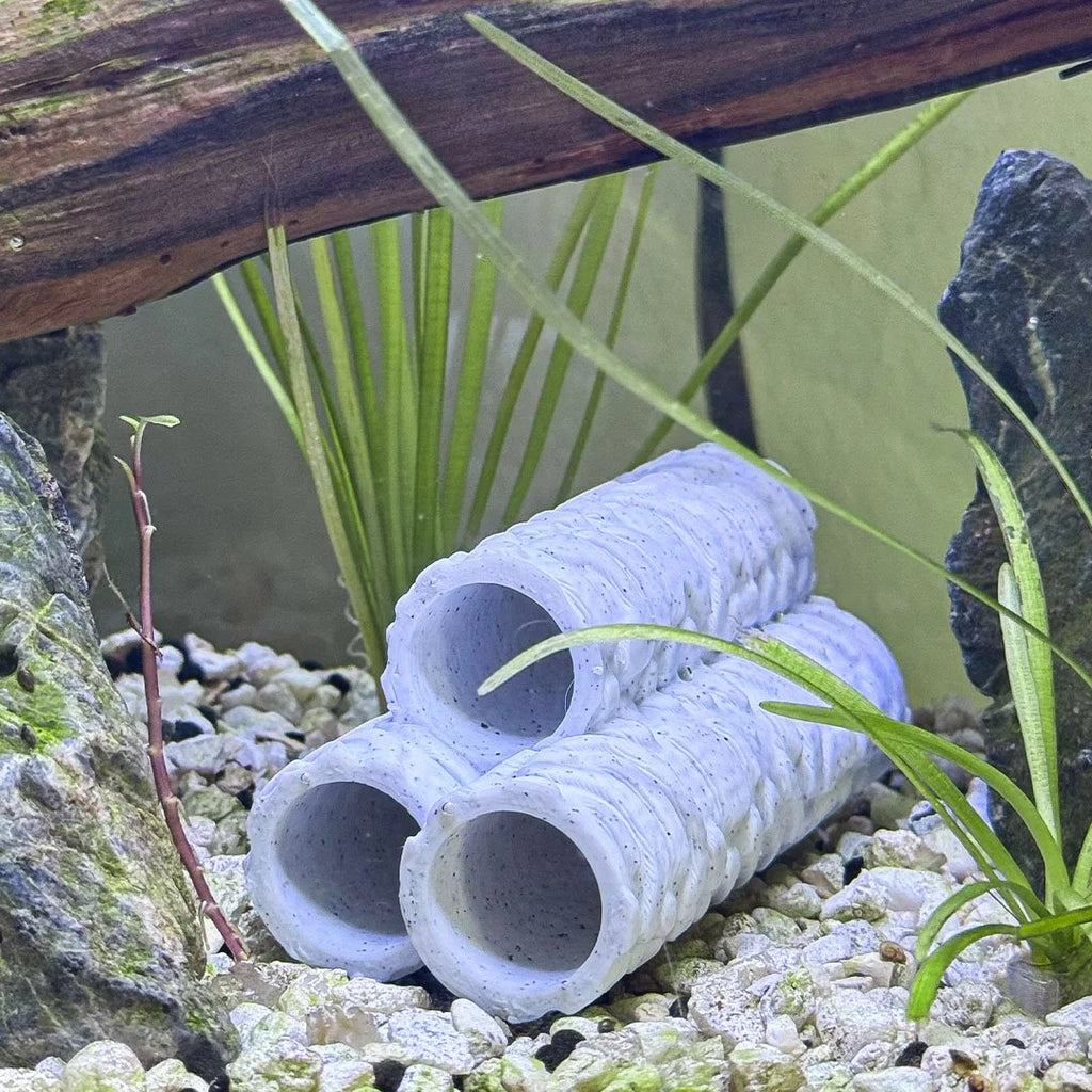 Natural Shrimp Tube Hides