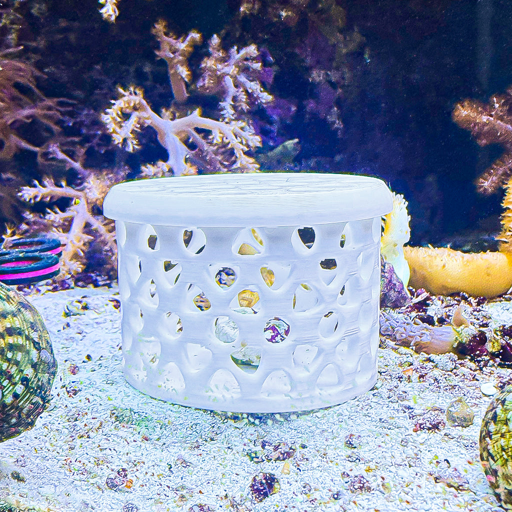 FragGuard Mushroom Cage