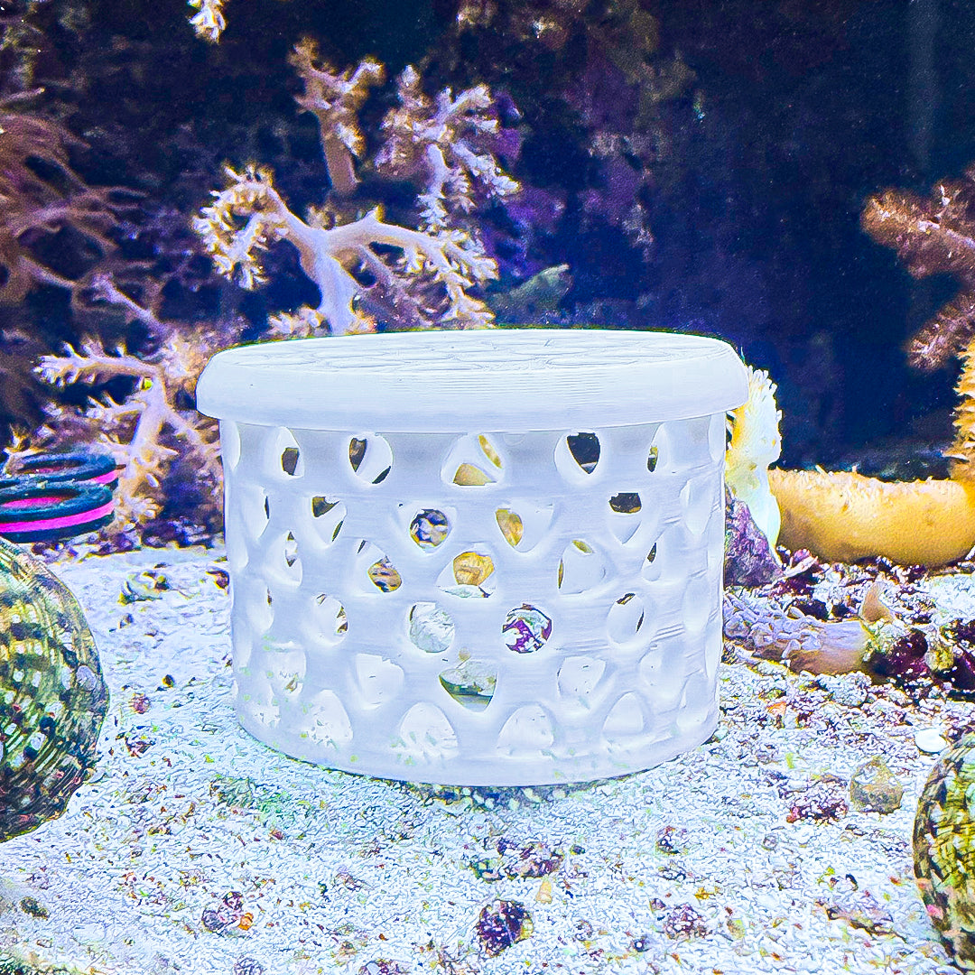 FragGuard Mushroom Cage