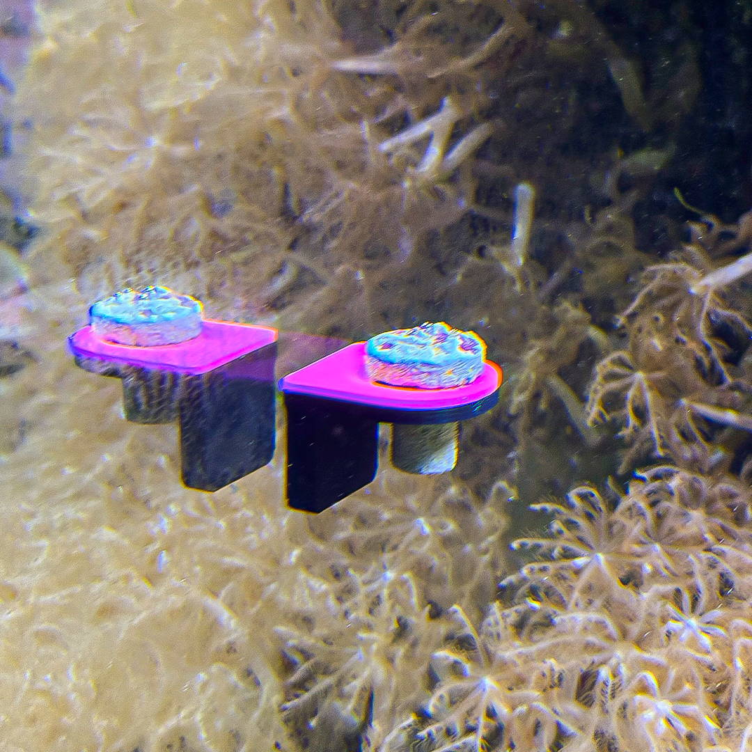 Magnetic Single Frag UV GlowRack (3 pk)