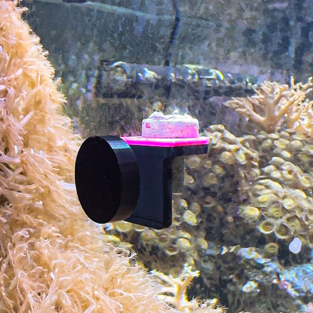 Magnetic Single Frag UV GlowRack (3 pk)