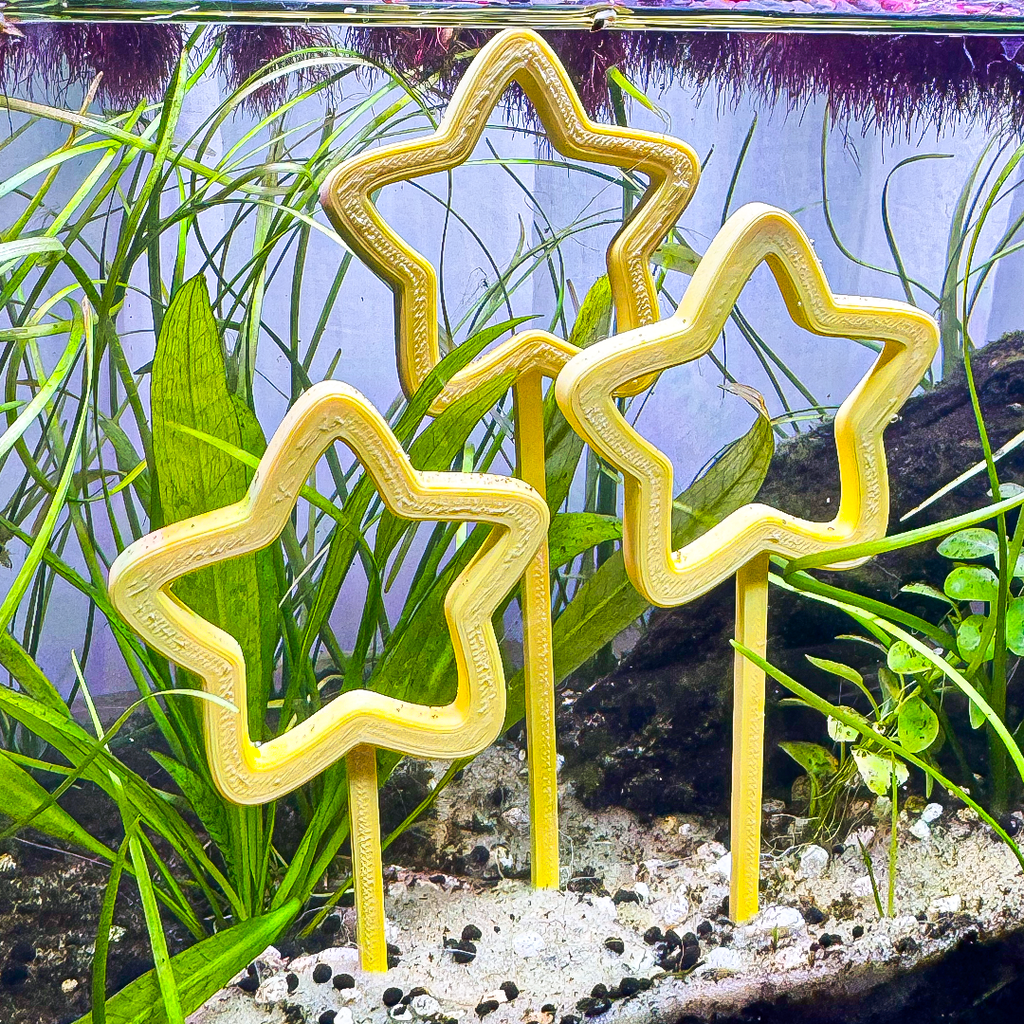 Star Tri-Hoops for Fish