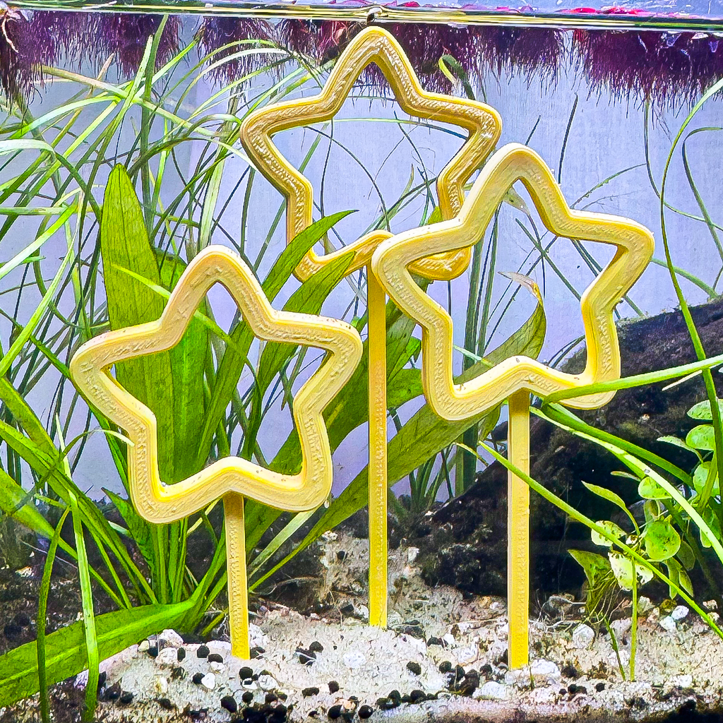 Star Tri-Hoops for Fish