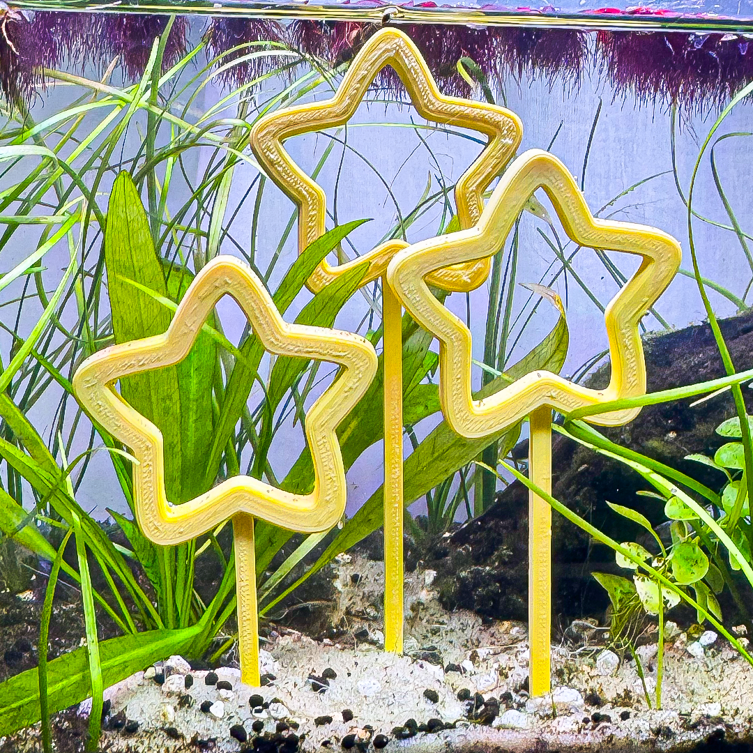 Star Tri-Hoops for Fish
