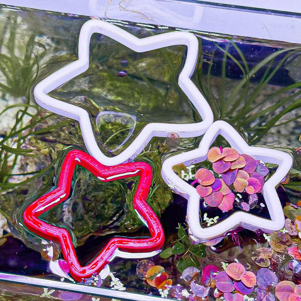 Star Fish Feeding Portal