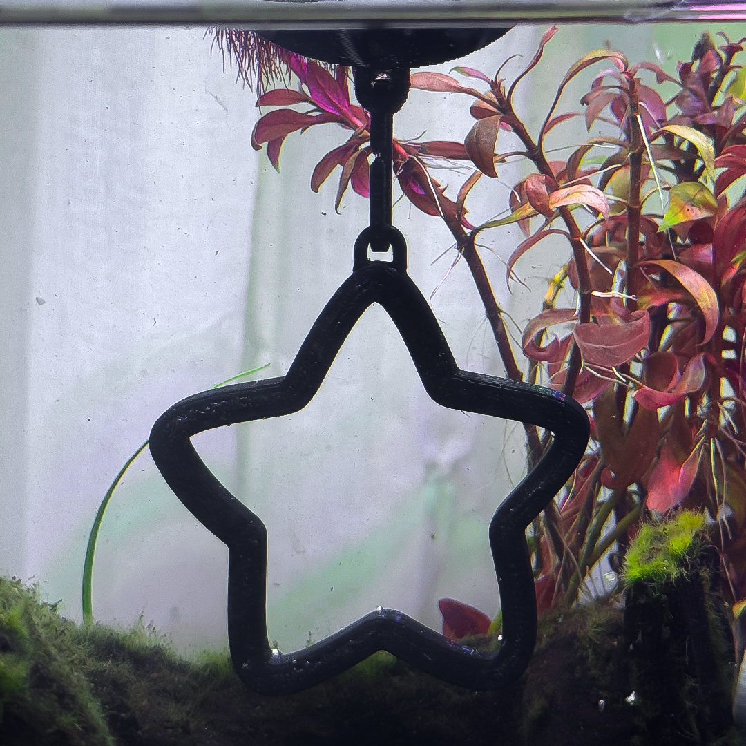 Floating Star Betta Swim Ring