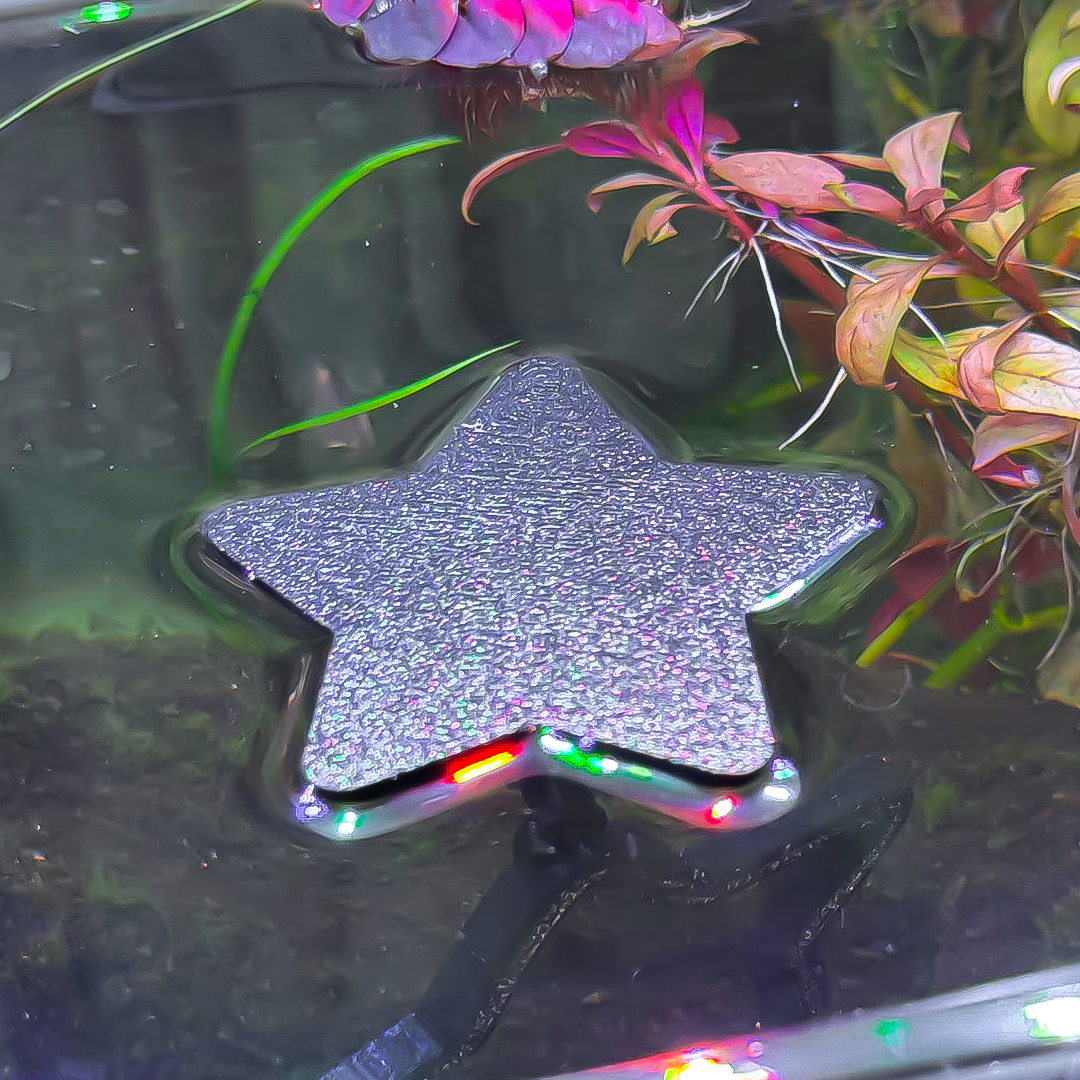 Floating Star Betta Swim Ring