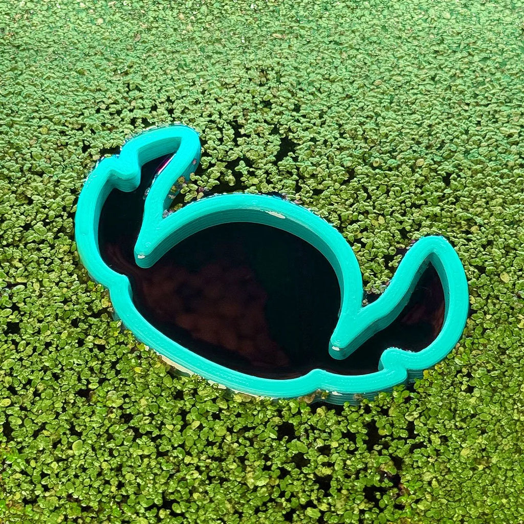 Blue Alien Fish Feeding Portal