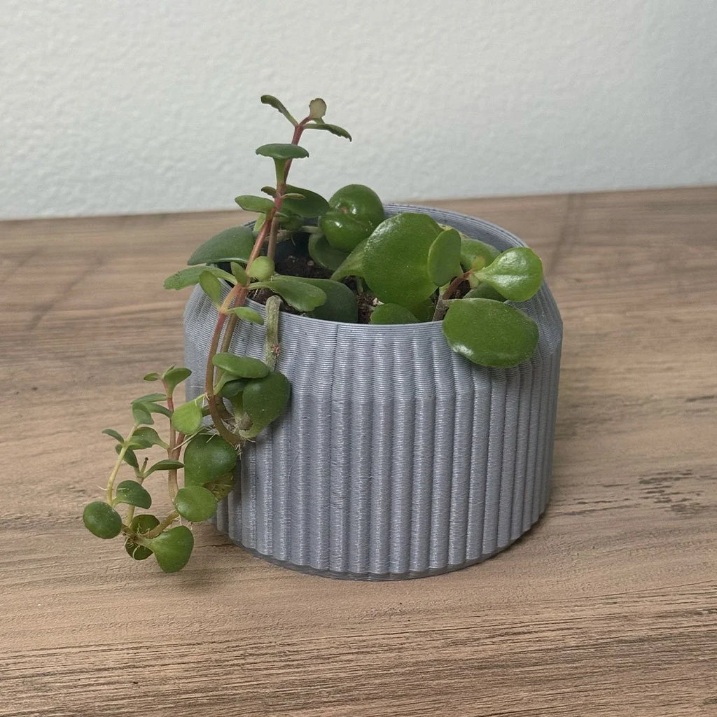 Minimalist Ribbed Planter