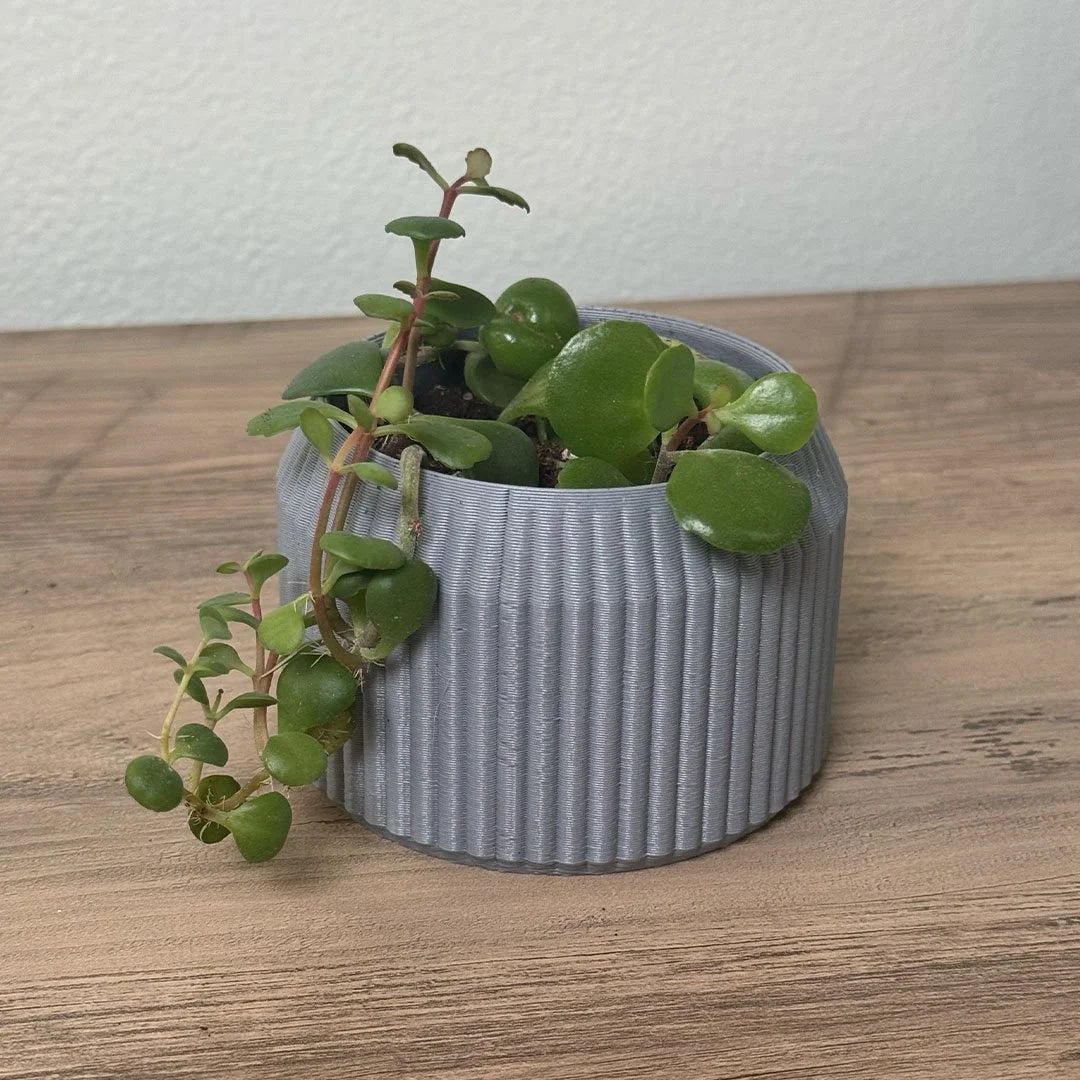 Minimalist Ribbed Planter