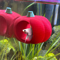 Tomato Vine Betta Hide