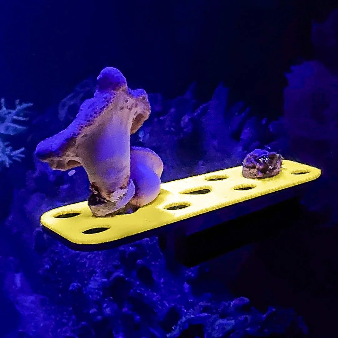 Magnetic GlowRack - UV Propagation Rack