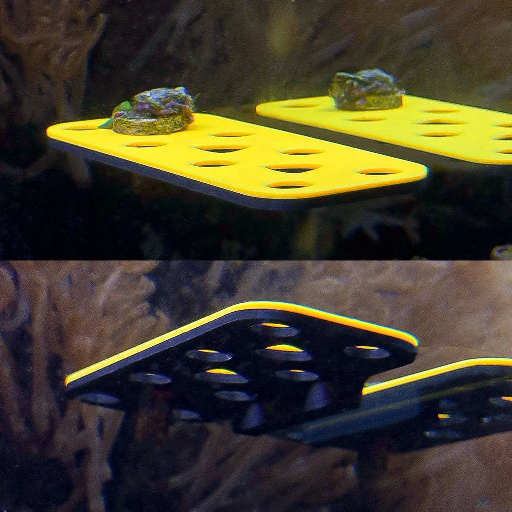 Magnetic GlowRack - UV Propagation Rack