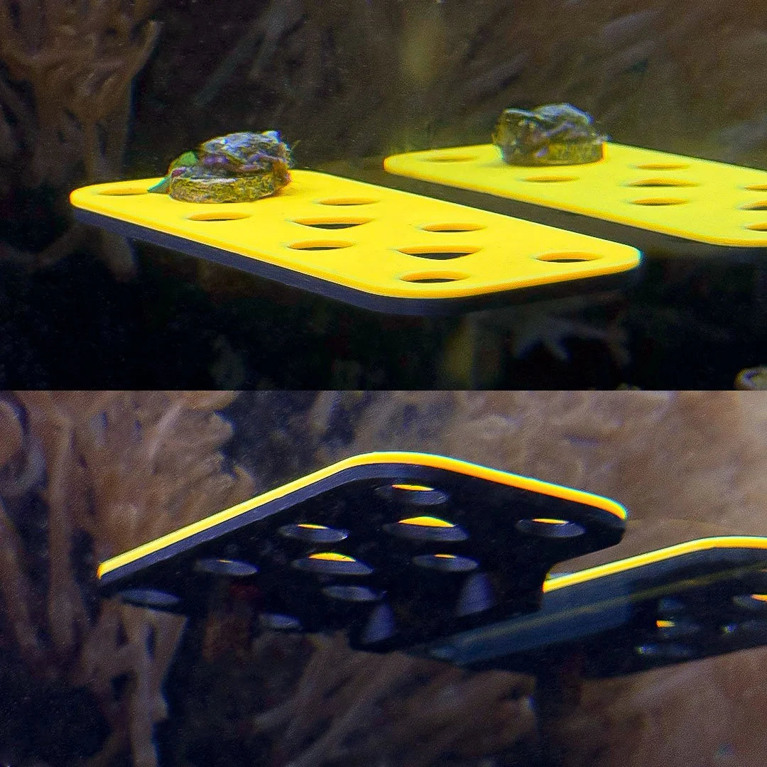 Magnetic GlowRack - UV Propagation Rack