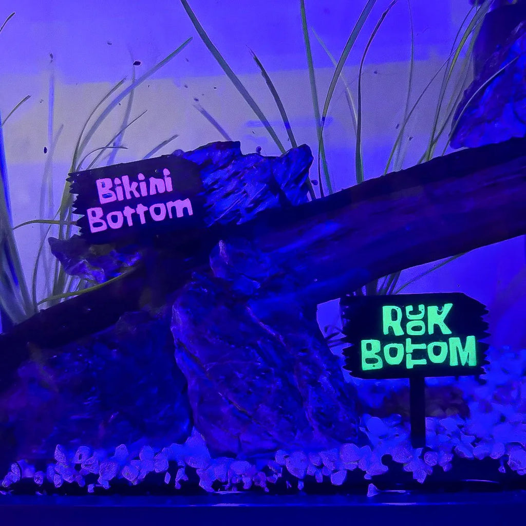 Personalized UV Sponge Sign For Aquariums
