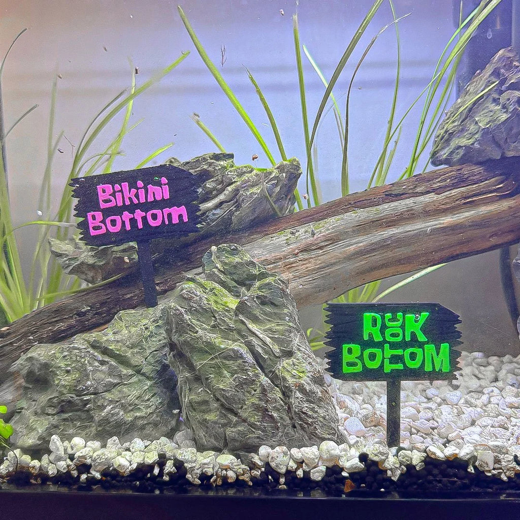 Personalized UV Sponge Sign For Aquariums