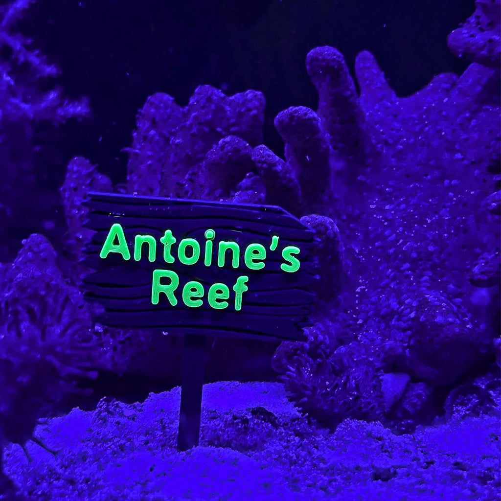 Personalized UV Reactive Sign For Aquariums