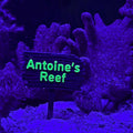 Personalized UV Reactive Sign For Aquariums