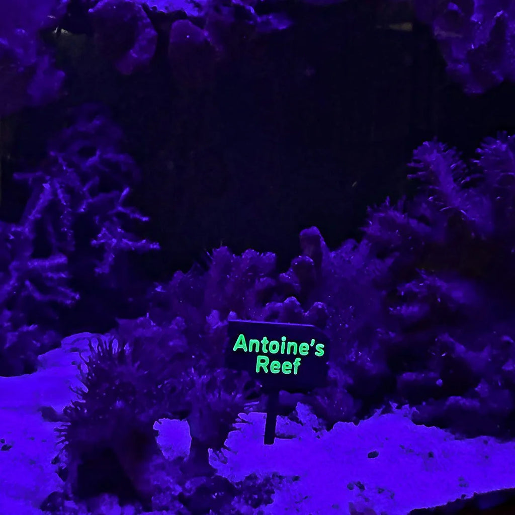 Personalized UV Reactive Sign For Aquariums