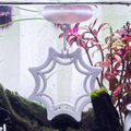 Floating Web Betta Swim Ring