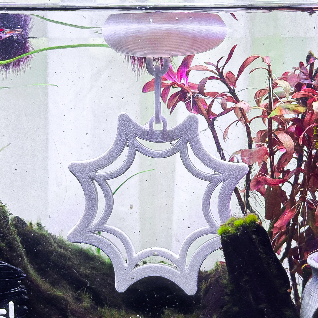 Floating Web Betta Swim Ring