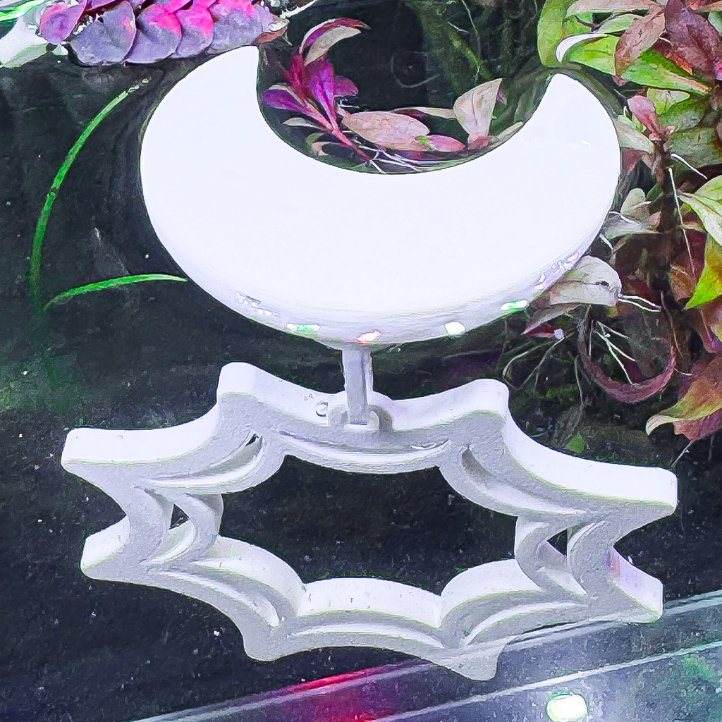 Floating Web Betta Swim Ring